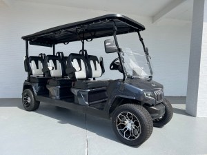 Charcoal Evolution Maverick 6 Seater Golf Cart